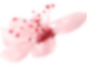 flower_3 (Demo)